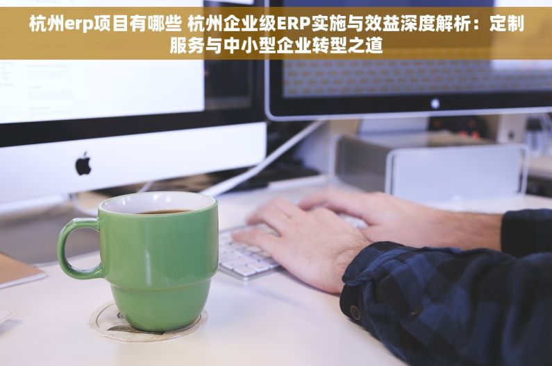 杭州erp项目有哪些 杭州企业级ERP实施与效益深度解析：定制服务与中小型企业转型之道