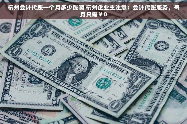 杭州会计代账一个月多少钱啊 杭州企业主注意：会计代账服务，每月只需￥0