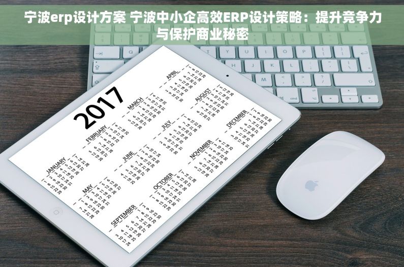 宁波erp设计方案 宁波中小企高效ERP设计策略：提升竞争力与保护商业秘密