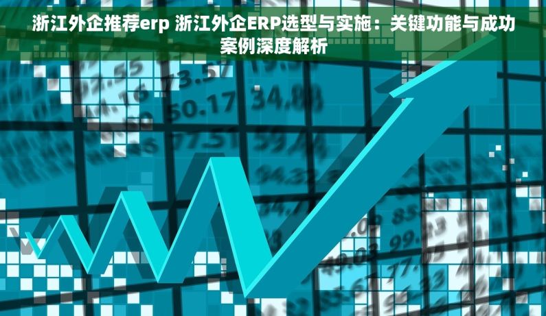 浙江外企推荐erp 浙江外企ERP选型与实施：关键功能与成功案例深度解析
