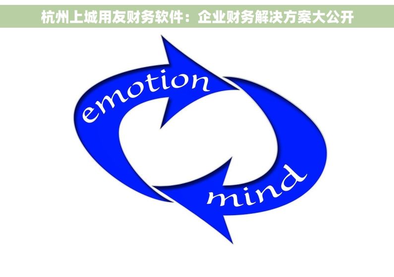杭州上城用友财务软件：企业财务解决方案大公开