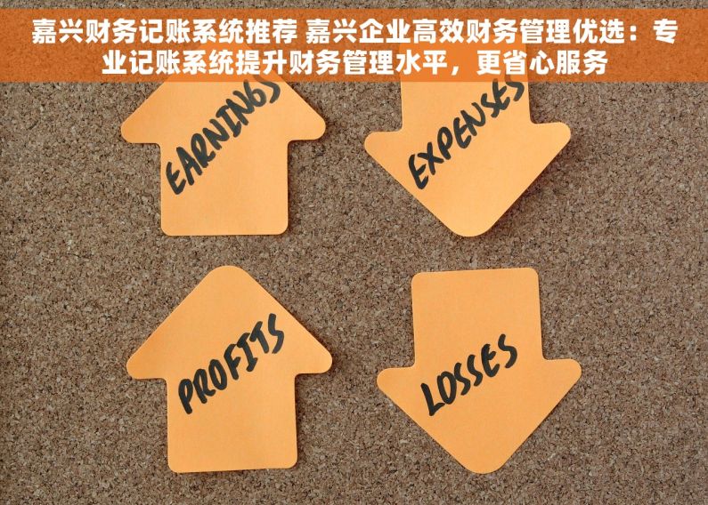 嘉兴财务记账系统推荐 嘉兴企业高效财务管理优选：专业记账系统提升财务管理水平，更省心服务