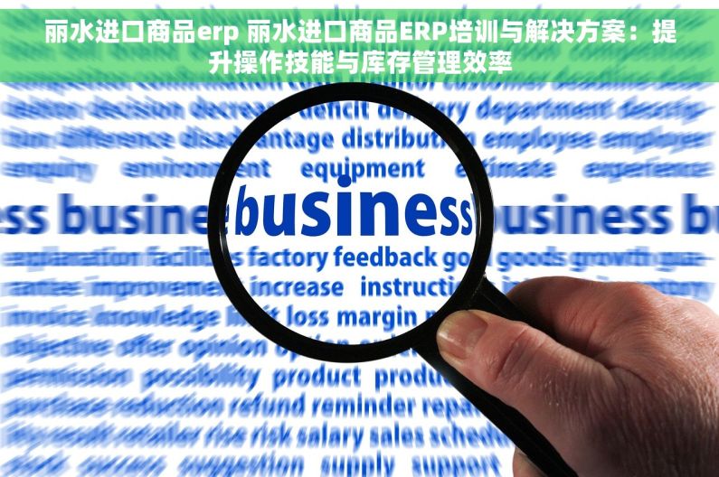 丽水进口商品erp 丽水进口商品ERP培训与解决方案：提升操作技能与库存管理效率
