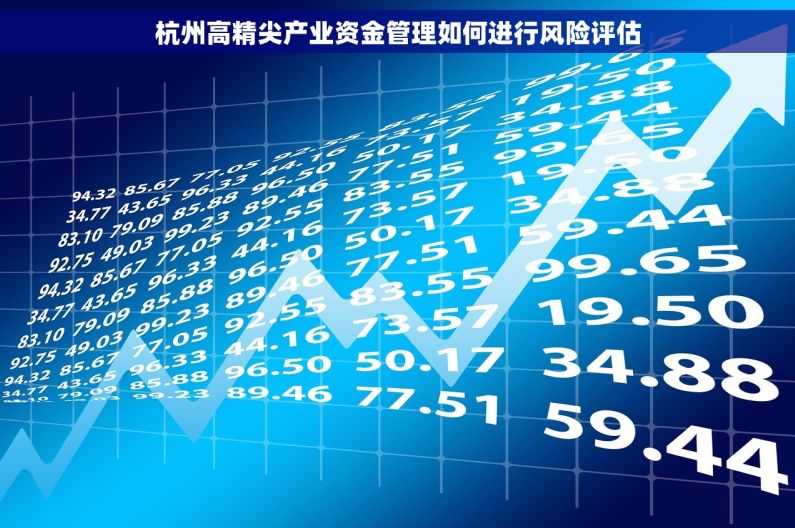 杭州高精尖产业资金管理如何进行风险评估