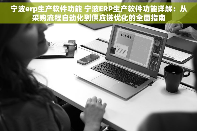 宁波erp生产软件功能 宁波ERP生产软件功能详解：从采购流程自动化到供应链优化的全面指南