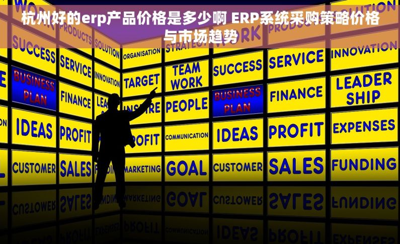 杭州好的erp产品价格是多少啊 ERP系统采购策略价格与市场趋势
