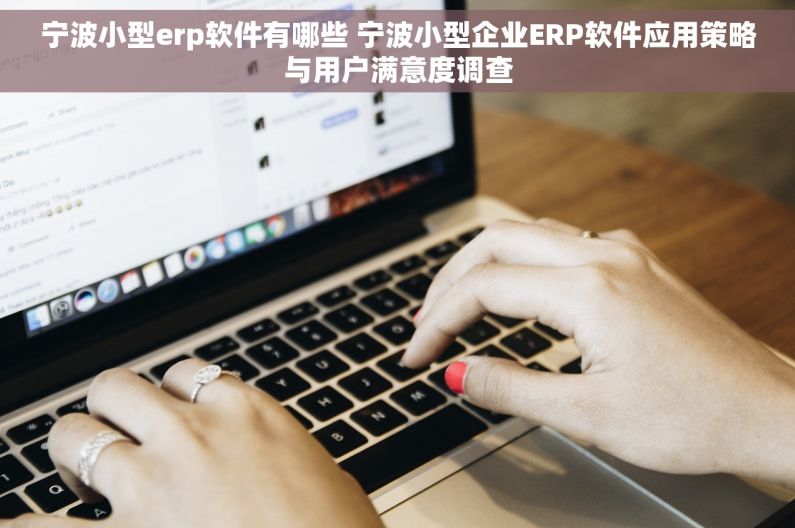 宁波小型erp软件有哪些 宁波小型企业ERP软件应用策略与用户满意度调查