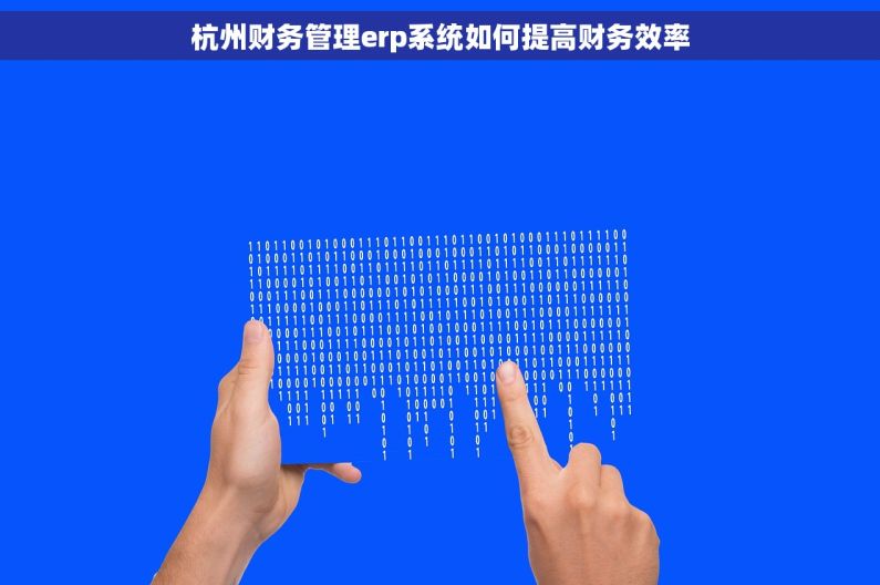 杭州财务管理erp系统如何提高财务效率