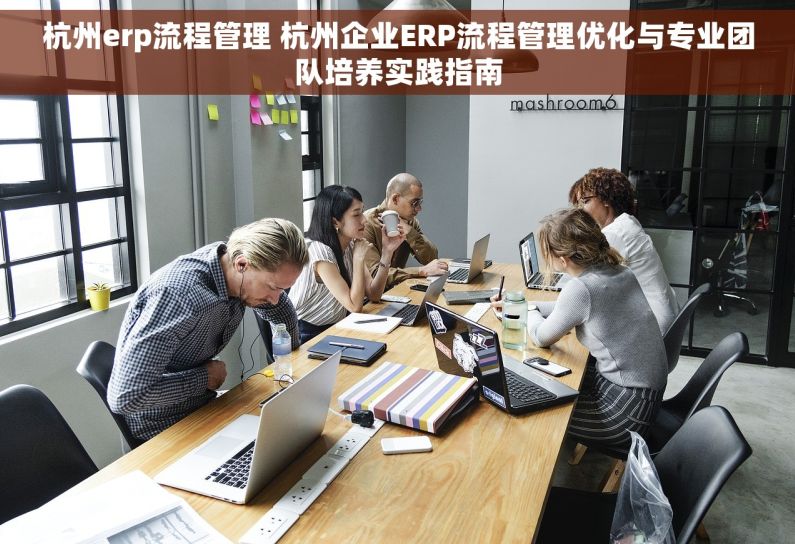 杭州erp流程管理 杭州企业ERP流程管理优化与专业团队培养实践指南