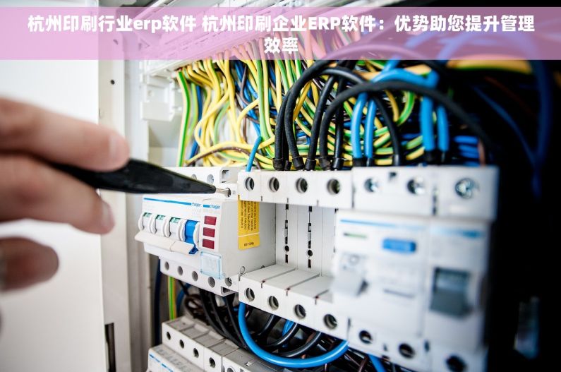 杭州印刷行业erp软件 杭州印刷企业ERP软件：优势助您提升管理效率
