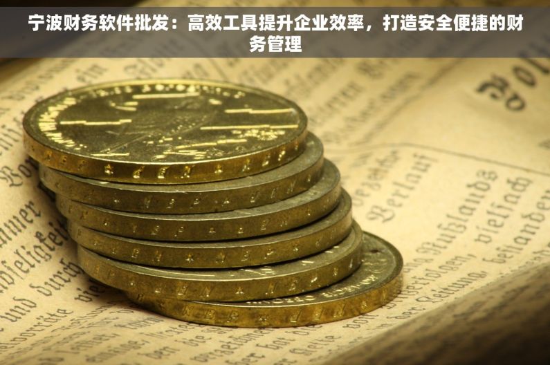 宁波财务软件批发：高效工具提升企业效率，打造安全便捷的财务管理