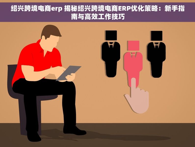 绍兴跨境电商erp 揭秘绍兴跨境电商ERP优化策略：新手指南与高效工作技巧