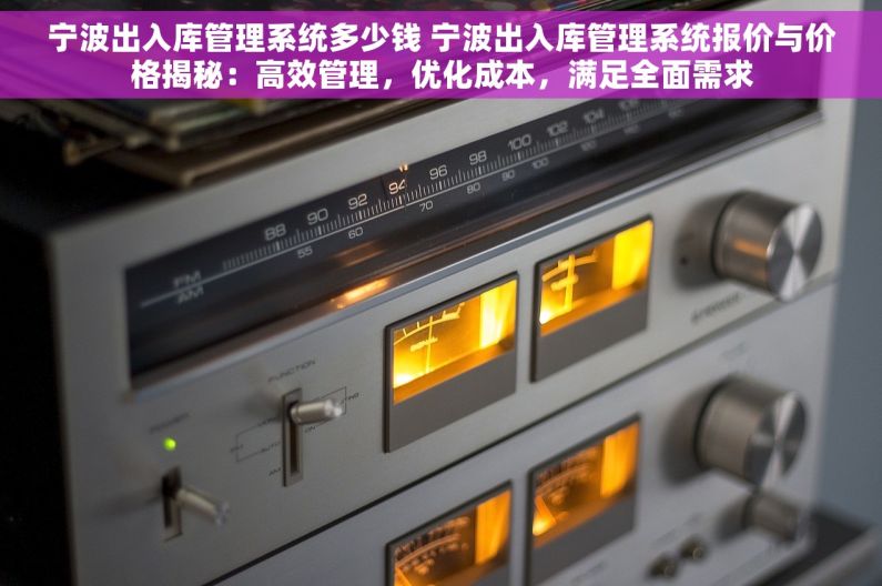 宁波出入库管理系统多少钱 宁波出入库管理系统报价与价格揭秘：高效管理，优化成本，满足全面需求