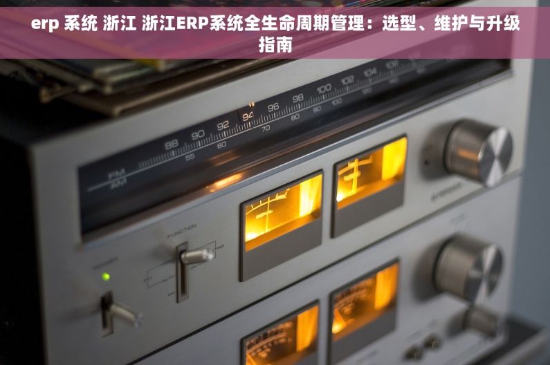 erp 系统 浙江 浙江ERP系统全生命周期管理：选型、维护与升级指南