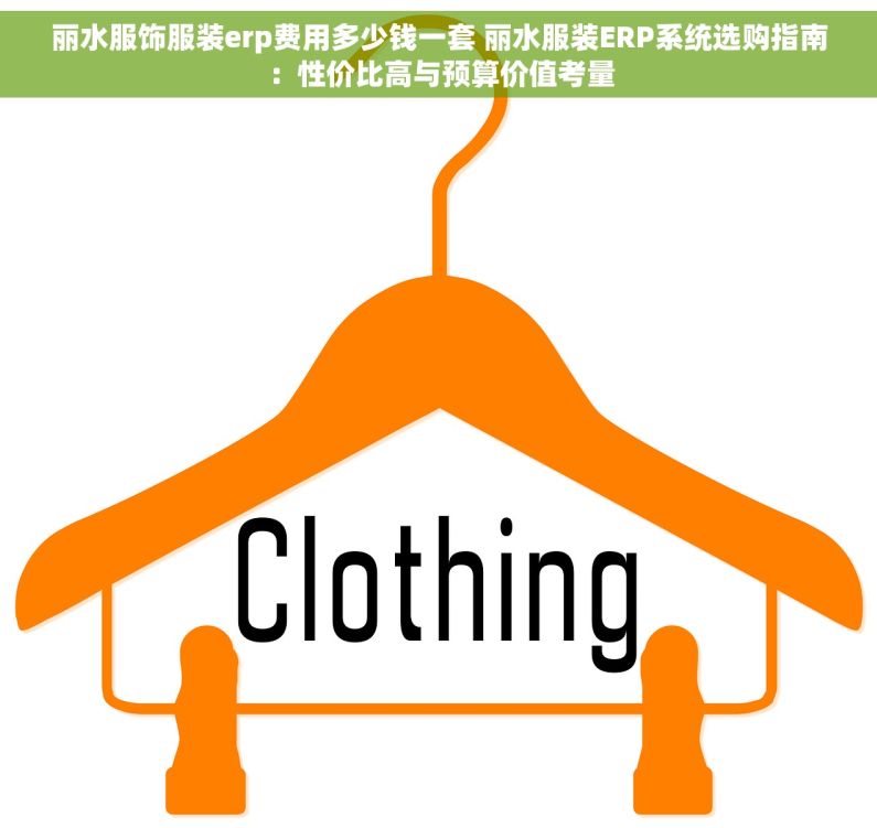 丽水服饰服装erp费用多少钱一套 丽水服装ERP系统选购指南：性价比高与预算价值考量