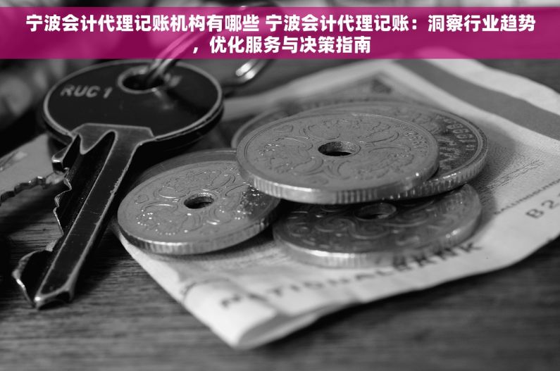 宁波会计代理记账机构有哪些 宁波会计代理记账：洞察行业趋势，优化服务与决策指南