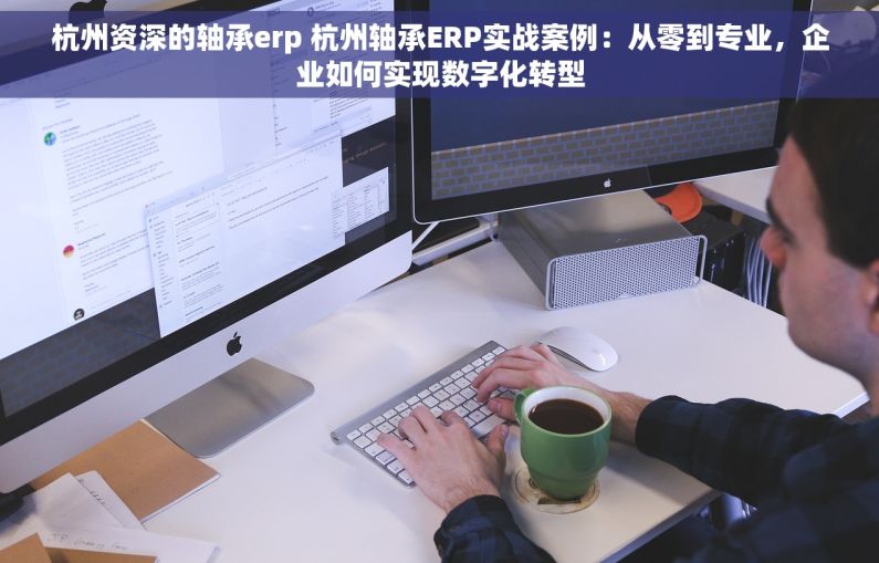 杭州资深的轴承erp 杭州轴承ERP实战案例：从零到专业，企业如何实现数字化转型