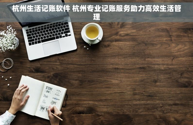 杭州生活记账软件 杭州专业记账服务助力高效生活管理