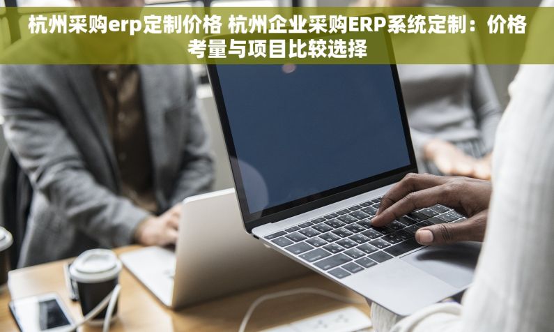 杭州采购erp定制价格 杭州企业采购ERP系统定制：价格考量与项目比较选择