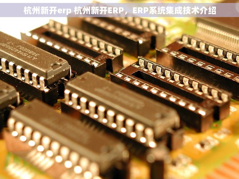 杭州新开erp 杭州新开ERP，ERP系统集成技术介绍