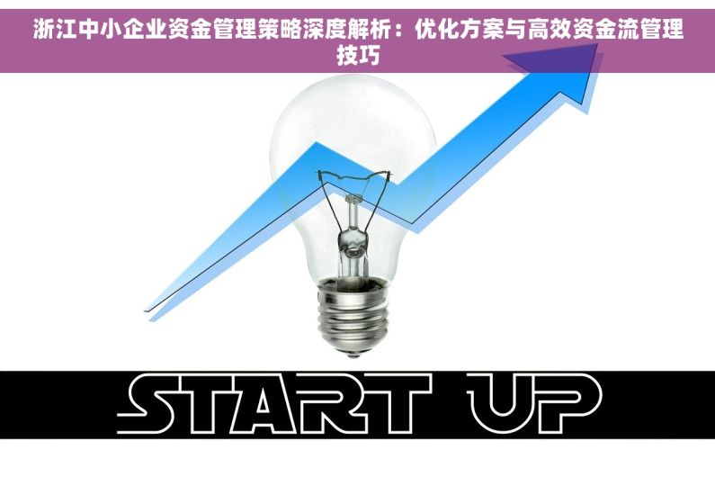 浙江中小企业资金管理策略深度解析：优化方案与高效资金流管理技巧