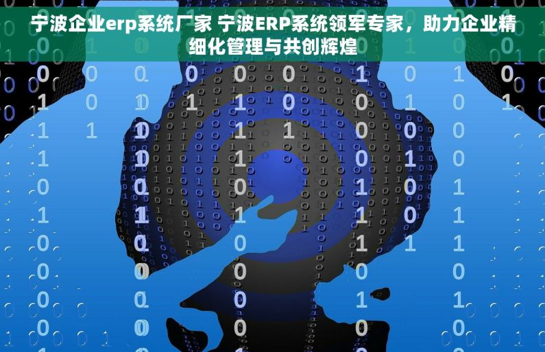 宁波企业erp系统厂家 宁波ERP系统领军专家，助力企业精细化管理与共创辉煌