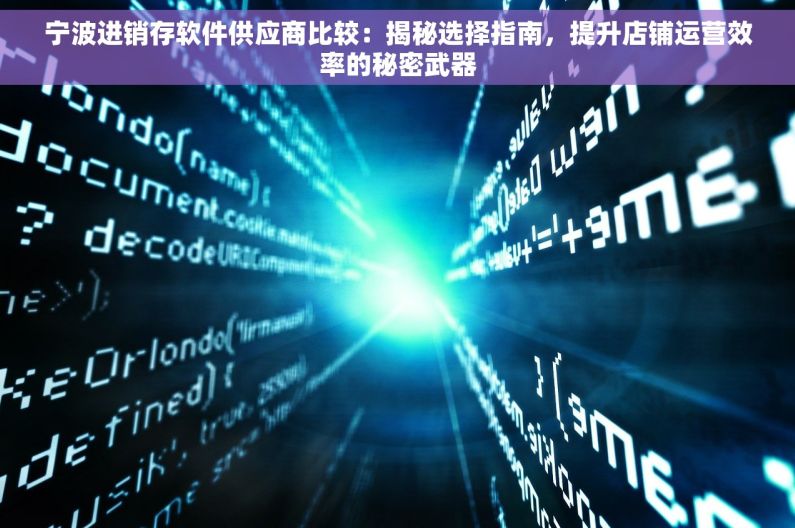 宁波进销存软件供应商比较：揭秘选择指南，提升店铺运营效率的秘密武器
