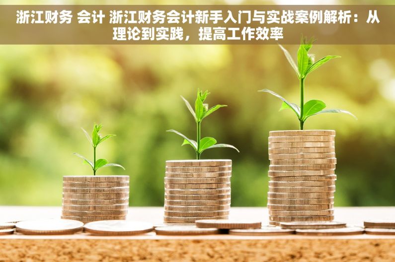 浙江财务 会计 浙江财务会计新手入门与实战案例解析：从理论到实践，提高工作效率