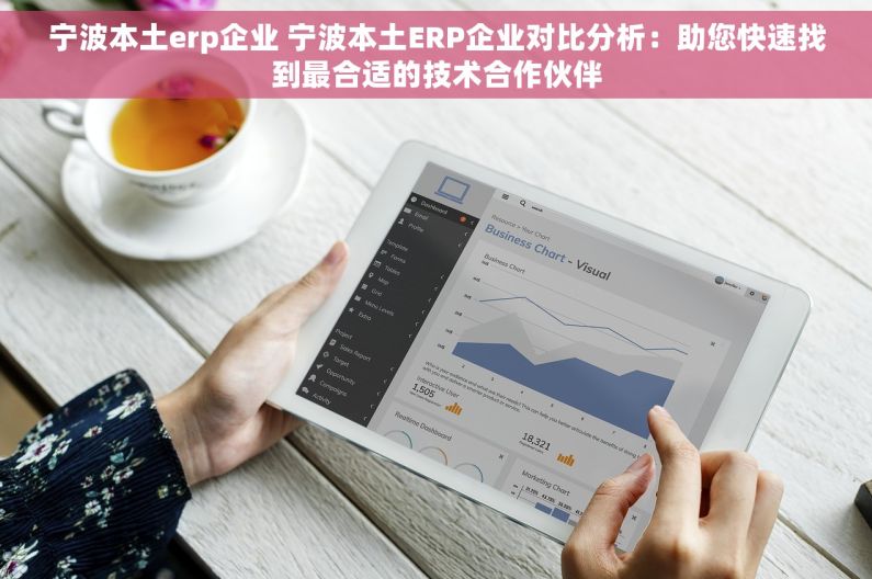 宁波本土erp企业 宁波本土ERP企业对比分析：助您快速找到最合适的技术合作伙伴