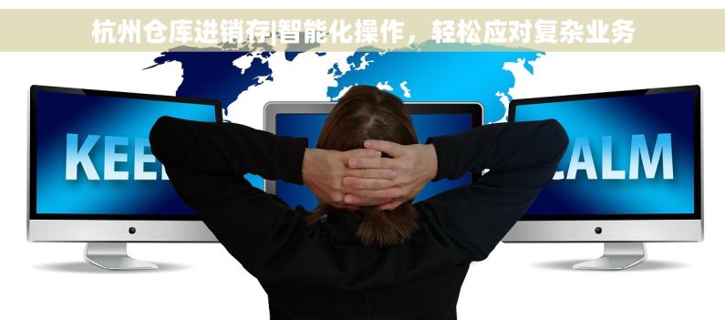 杭州仓库进销存|智能化操作，轻松应对复杂业务