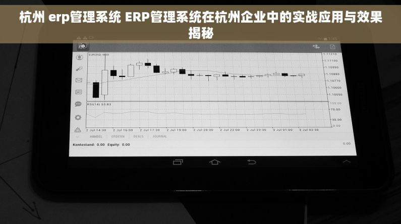 杭州 erp管理系统 ERP管理系统在杭州企业中的实战应用与效果揭秘