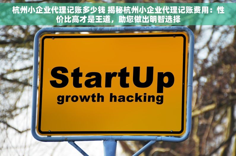杭州小企业代理记账多少钱 揭秘杭州小企业代理记账费用：性价比高才是王道，助您做出明智选择