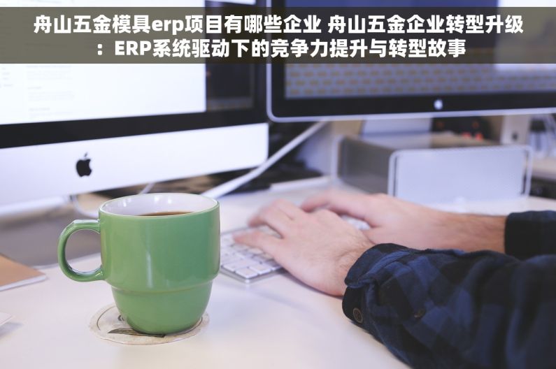 舟山五金模具erp项目有哪些企业 舟山五金企业转型升级：ERP系统驱动下的竞争力提升与转型故事