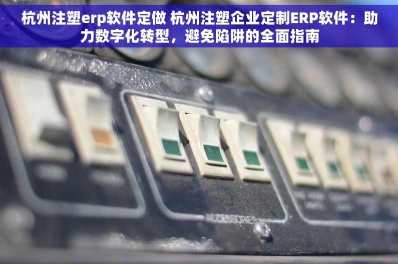 杭州注塑erp软件定做 杭州注塑企业定制ERP软件：助力数字化转型，避免陷阱的全面指南