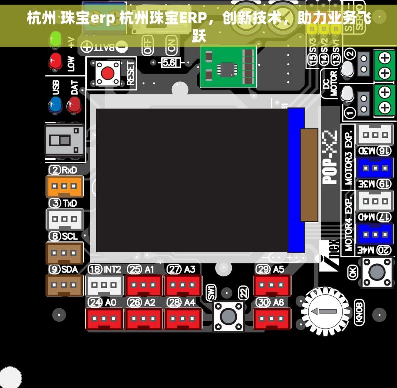 杭州 珠宝erp 杭州珠宝ERP，创新技术，助力业务飞跃