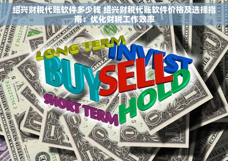 绍兴财税代账软件多少钱 绍兴财税代账软件价格及选择指南：优化财税工作效率