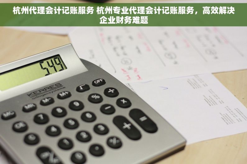 杭州代理会计记账服务 杭州专业代理会计记账服务，高效解决企业财务难题