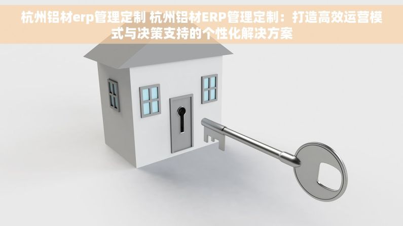杭州铝材erp管理定制 杭州铝材ERP管理定制：打造高效运营模式与决策支持的个性化解决方案