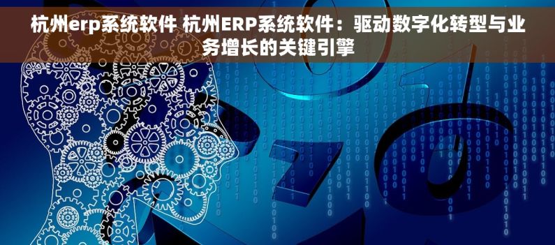 杭州erp系统软件 杭州ERP系统软件：驱动数字化转型与业务增长的关键引擎