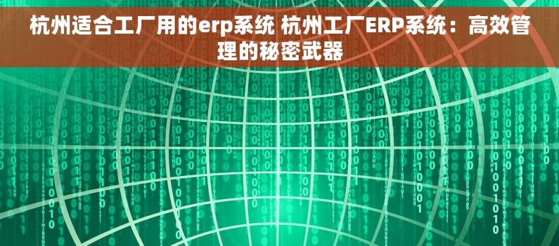 杭州适合工厂用的erp系统 杭州工厂ERP系统：高效管理的秘密武器