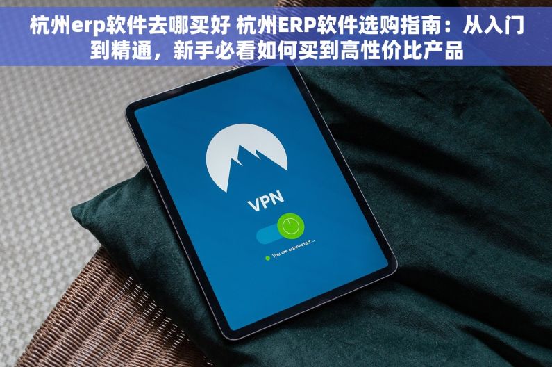 杭州erp软件去哪买好 杭州ERP软件选购指南：从入门到精通，新手必看如何买到高性价比产品