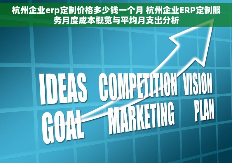 杭州企业erp定制价格多少钱一个月 杭州企业ERP定制服务月度成本概览与平均月支出分析