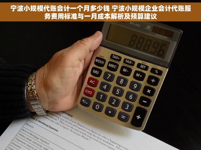宁波小规模代账会计一个月多少钱 宁波小规模企业会计代账服务费用标准与一月成本解析及预算建议