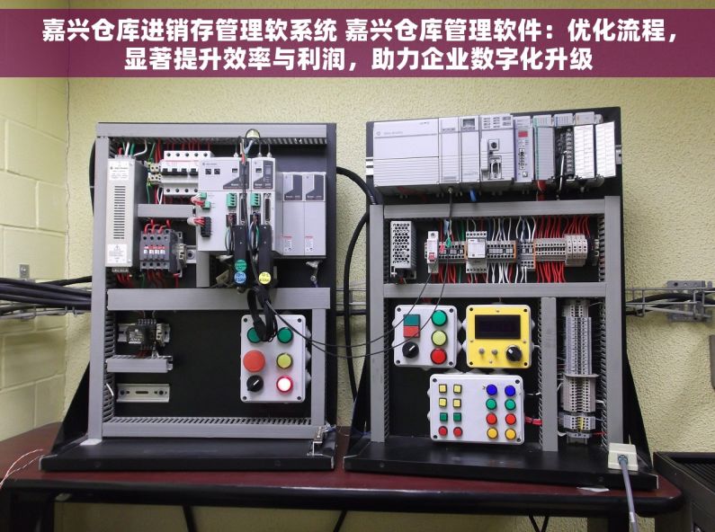 嘉兴仓库进销存管理软系统 嘉兴仓库管理软件：优化流程，显著提升效率与利润，助力企业数字化升级