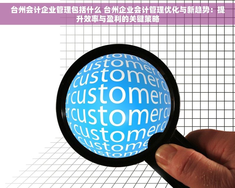 台州会计企业管理包括什么 台州企业会计管理优化与新趋势：提升效率与盈利的关键策略