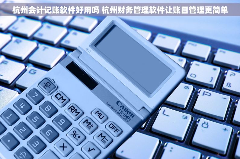 杭州会计记账软件好用吗 杭州财务管理软件让账目管理更简单