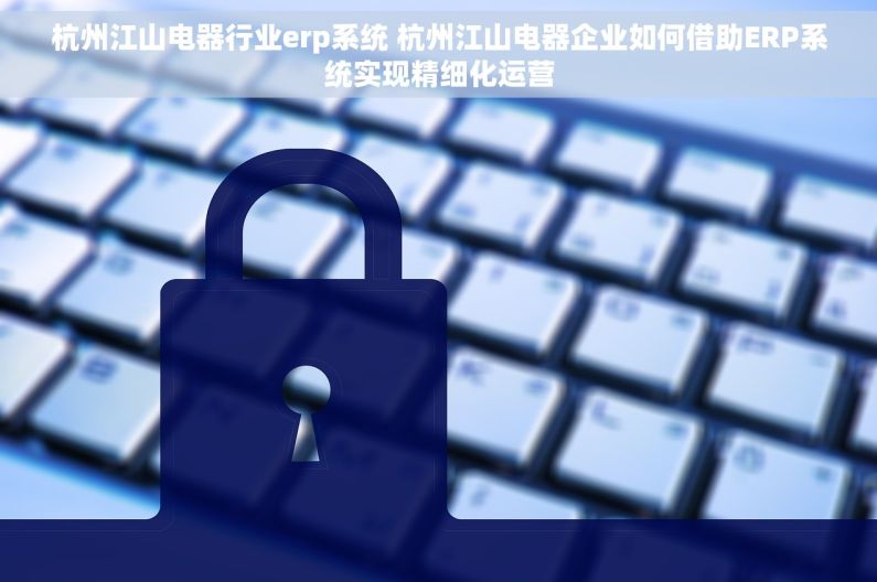 杭州江山电器行业erp系统 杭州江山电器企业如何借助ERP系统实现精细化运营