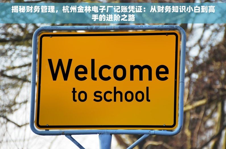 揭秘财务管理，杭州金林电子厂记账凭证：从财务知识小白到高手的进阶之路