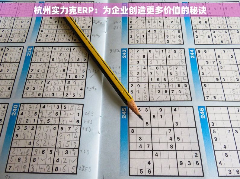 杭州实力克ERP：为企业创造更多价值的秘诀
