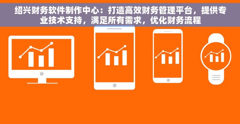 绍兴财务软件制作中心：打造高效财务管理平台，提供专业技术支持，满足所有需求，优化财务流程